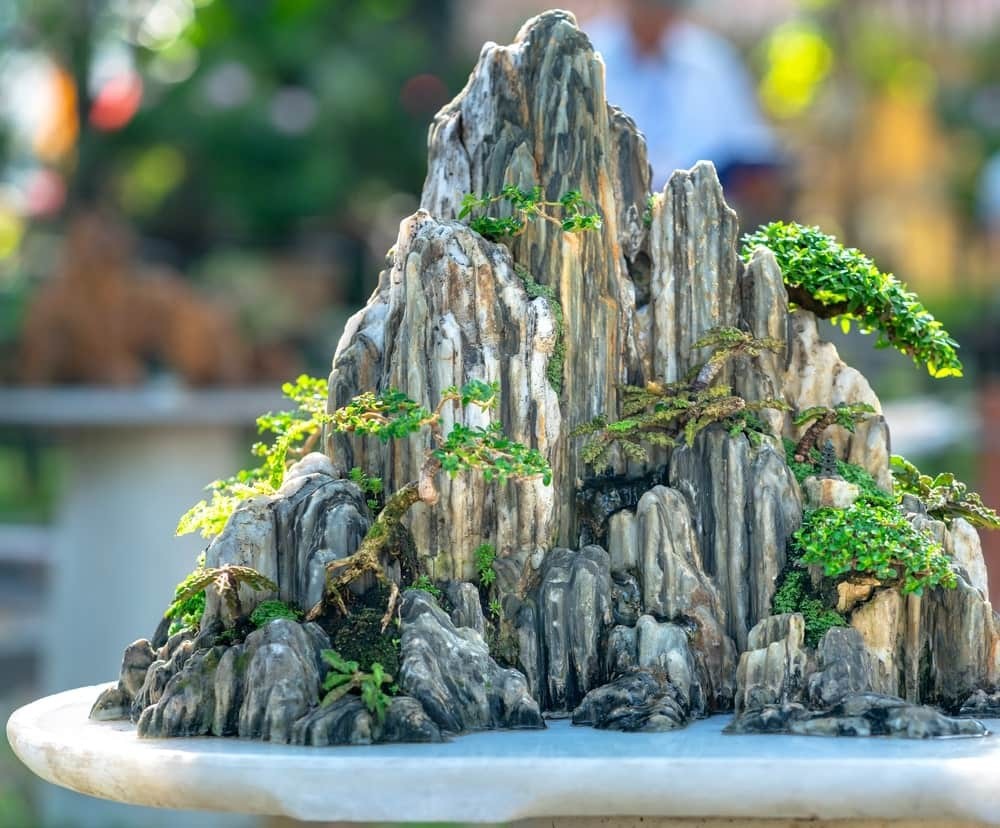  Hòn Nam Bộ Phong Cách Tiểu Cảnh: Tái hiện thế giới thu nhỏ trong khu vườn nhà bạn