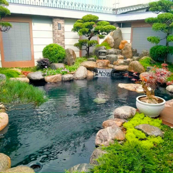 Thi công hồ cá koi theo yêu cầu, giá tốt nhất tại thành phố Hồ Chí Minh